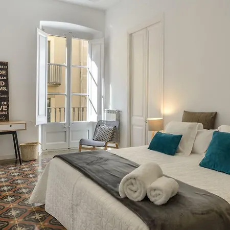 Apg Carrer Nou 10 Apartment *